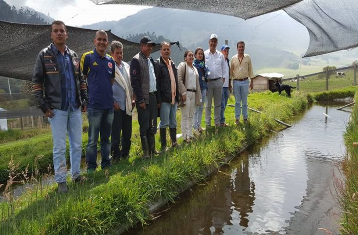 El Irreverente Noticias de Ibague y Tolima, Colombia